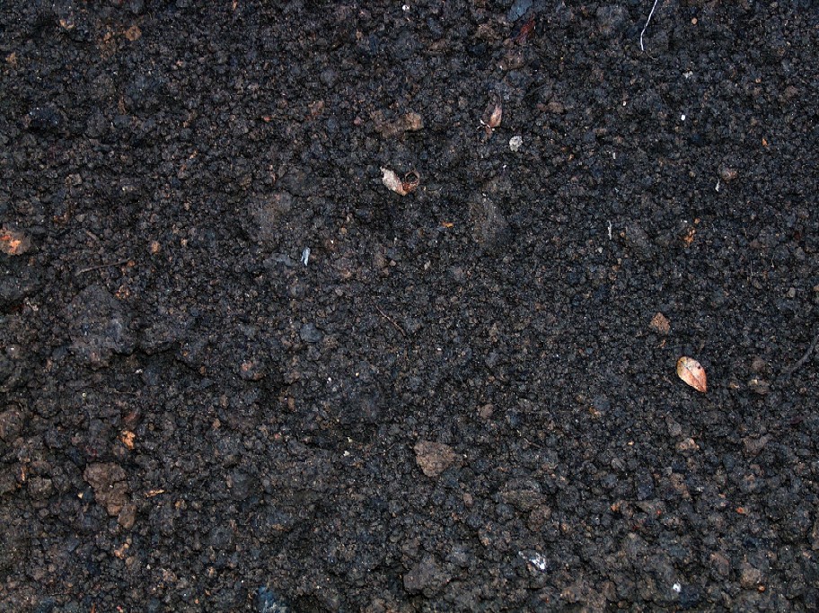 W & V Fritz Garten und Landschaftsbau GmbH